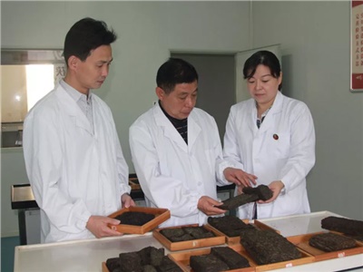 傳承茯茶非遺技藝、開拓創(chuàng)新引領(lǐng)行業(yè)發(fā)展