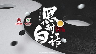首屆黑白對話高峰論壇圓滿落幕！湘益茯茶備受關(guān)注！