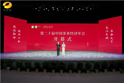 【聚焦第二十屆中國茶業(yè)經(jīng)濟(jì)年會(huì)】益陽茶廠榮獲“民族團(tuán)結(jié)互助企業(yè)”、“2024年度茶業(yè)重點(diǎn)企業(yè)”榮譽(yù)稱號(hào)